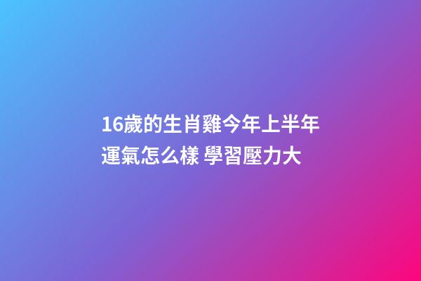 16歲的生肖雞今年上半年運氣怎么樣 學習壓力大